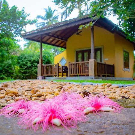 Birds Paradise Cabanas Unawatuna Bagian luar foto
