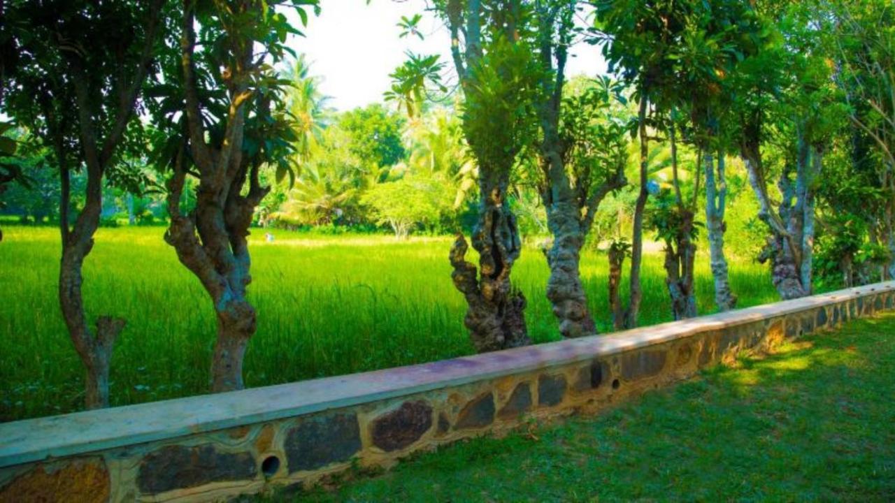 Birds Paradise Cabanas Unawatuna Bagian luar foto