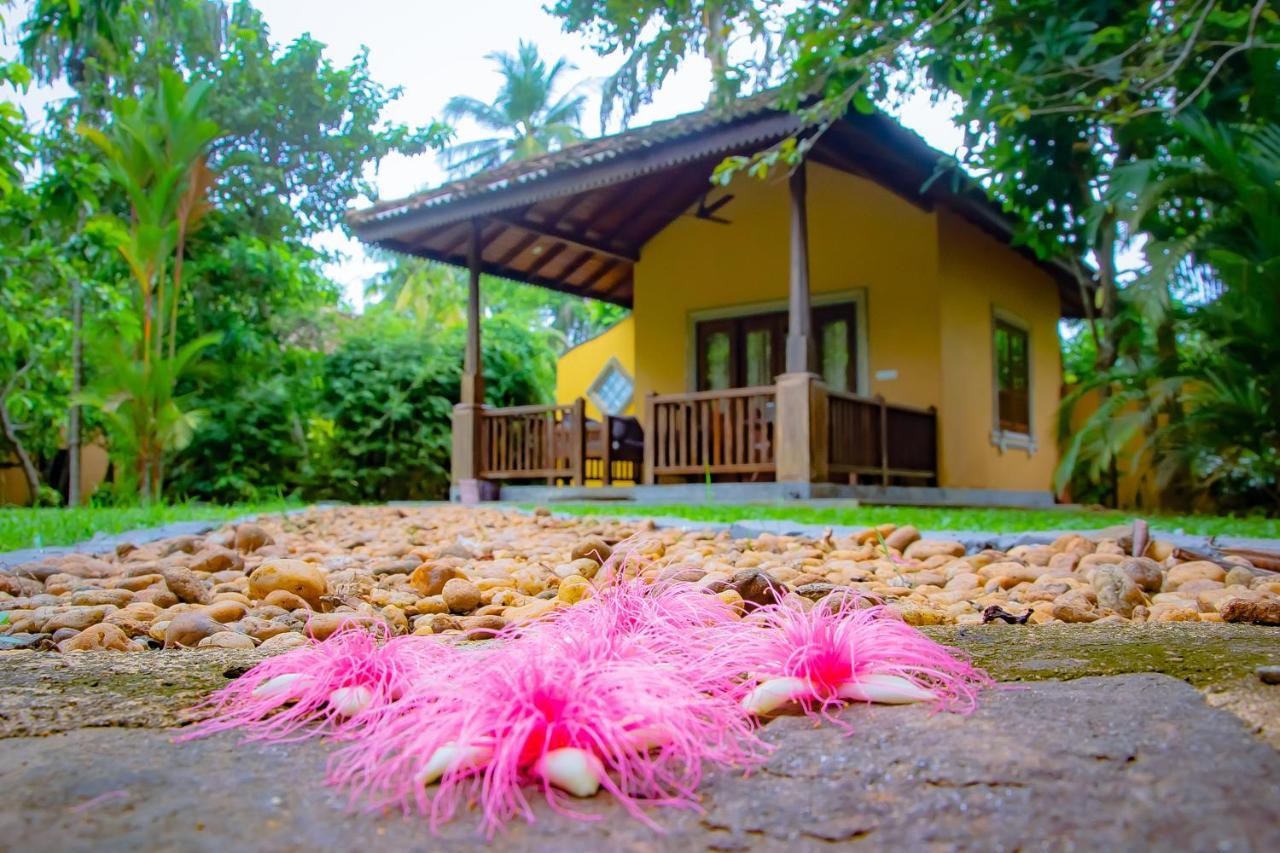 Birds Paradise Cabanas Unawatuna Bagian luar foto