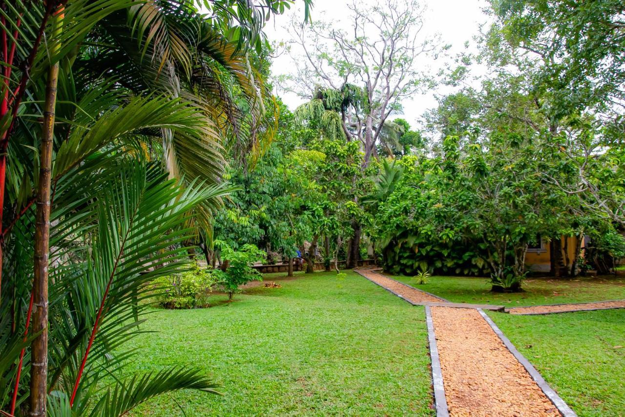 Birds Paradise Cabanas Unawatuna Bagian luar foto
